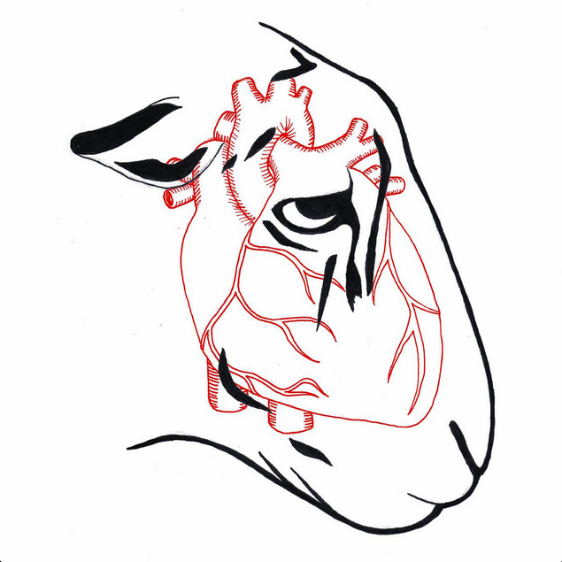 cover de I'm not here to make friends por Roar